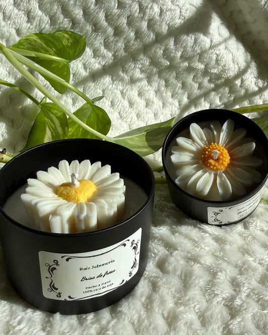 Vela Fresa Fresca - Dulzura que Enamora