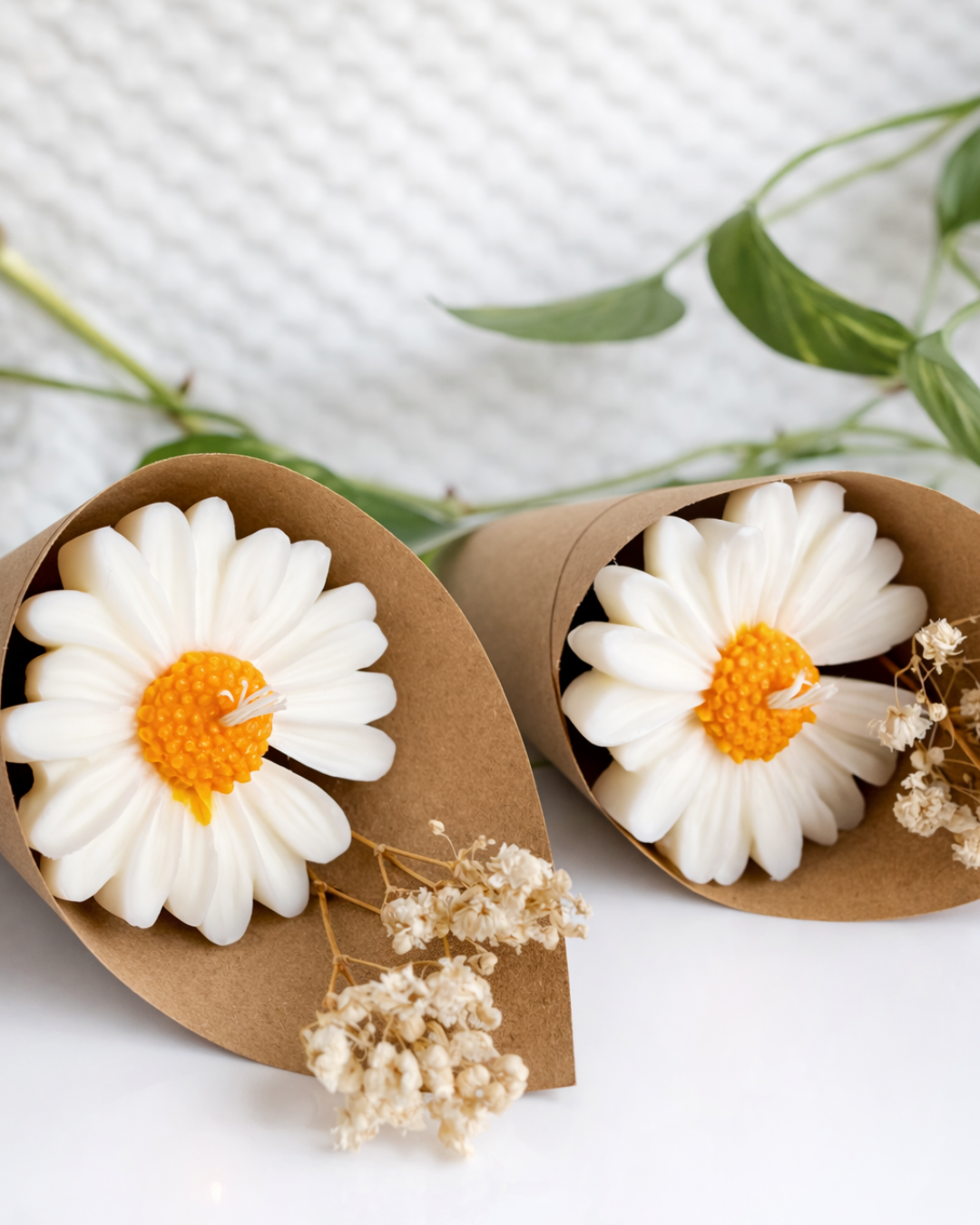 Vela Fresa Dulce - Ambiente Cálido y Acogedor